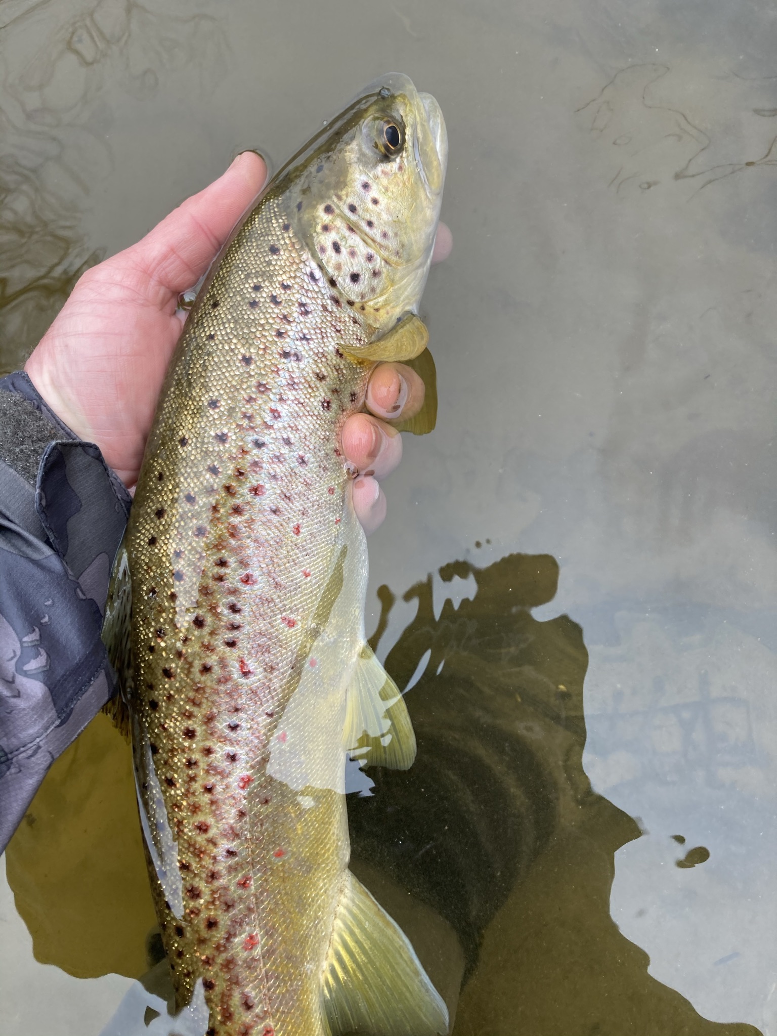 Alt